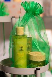 Chatto® ROBUST ROOTS DAILY GROWTH SET MORNING DEW + DAMAGED HAIR FERTILIZER, view 2