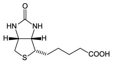 biotin-page.jpg