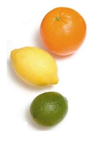 citrusoil-page.jpg