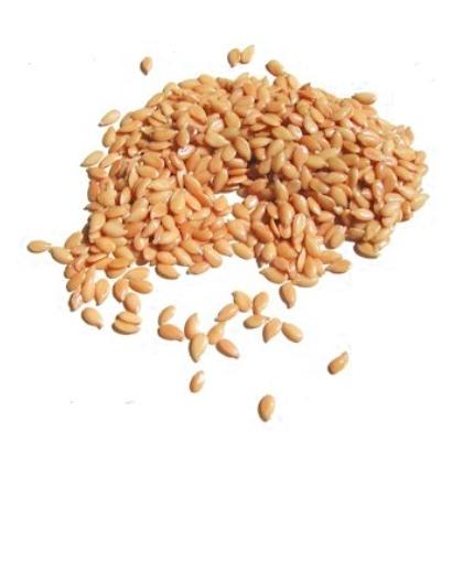 flax-seed-oil-photo-page.jpg